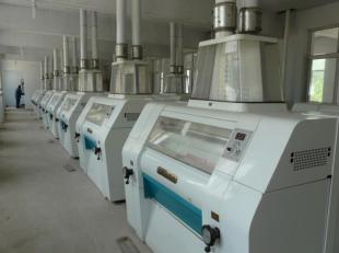 內蒙面粉機試機成功